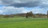 Tour Wandern Holsbeek - Sin Pieter Rode  - Photo 10