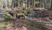 Randonnée Marche Spa - de la Sauveniere à la Reine, autour de Malchamps  - Photo 19