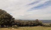 Tour Wandern Céret - mon balcon de Céret - Photo 17