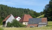 Trail On foot Obertrubach - Obertrubach 