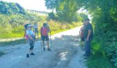 Tour Wandern Lindry - AVF LINDRY 06062023 - Photo 4