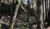 Trail Walking Houffalize - Belvedere 4 km - Photo 1