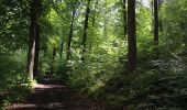 Excursión Senderismo Visé - Visé, Natura des sites qui valent le détour Lg17 - Photo 13