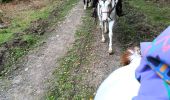 Tour Reiten Gedinne - chinés bridge - Photo 1