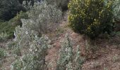 Tour Wandern La Seyne-sur-Mer - Notre-Dame du Mai Forêt de Janas-26-03-21  - Photo 10