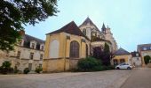 Tour Wandern Joigny - Joigny - Villeneuve sur Yonne et 2/3  - 35 km IBP 97 - Photo 4