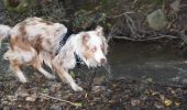 Trail Walking Herve - 20240728 - Julemont en famille- 3.2 Km - Photo 18