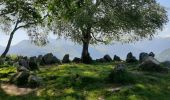 Randonnée Marche Bilhères - Bilhères  Les cercles de pierre - Photo 9