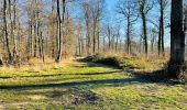 Excursión Senderismo Compiègne - en forêt de Compiègne_47_autour des Beaux Monts - Photo 3