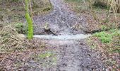 Trail Walking Wanze - Antheit 070125 - Photo 9