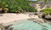 Excursión Senderismo Anse-Bertrand - Guadeloupe - Pointe de la Petite Vigie à Pointe de la Grande Vigie - Photo 3
