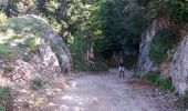 Excursión Senderismo Fillière - GLIERES / BORNES: SOUS DINE AU DEPART DE LES CHENEVIERS...  - Photo 17