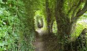 Tocht Elektrische fiets Ronse - tour Chapelle Wittentack et chemins - Photo 6