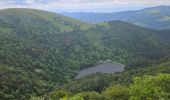 Excursión Senderismo Xonrupt-Longemer - 2024 RA Vosges J3 tour du schiessrothried - Photo 2