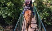 Trail Horseback riding Dossenheim-sur-Zinsel - 2023-07-09 Picnic CVA Dossenheim sur Zinsel - Photo 2