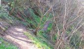 Trail Walking Chidrac - Chidrac à Saint-Floret - Photo 3
