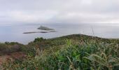 Trail Walking Rogliano - Cap Corse Santa Maria - Photo 8