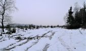 Trail Walking Theux - Bronromme sous la neige  - Photo 9