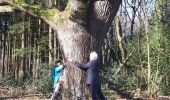 Tocht Noords wandelen Aubel - clouse_05_04_2021 - Photo 14