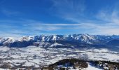 Tocht Sneeuwschoenen Susville - les Merlins - Photo 2