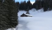 Tocht Sneeuwschoenen Thônes - BEAUREGARD depuis la Clossette - Photo 6