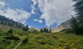 Tour Wandern Val-d'Oronaye - pas des manzes 4-07-2022 - Photo 8