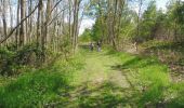 Trail Walking Oissel - 20210518-Foret de Oissel - Photo 11