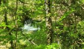 Randonnée Marche Buoux - Sivergues - Photo 2