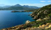 Percorso Marcia Calvi - Boucle Croix des Balkans - Phare de Revellata - Notre dame de la Sierra - Photo 18