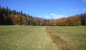 Randonnée A pied Bischbrunn - Schwarzer Fuchs, Rundwanderweg Weihersgrund am Sylvan - Photo 9