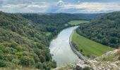 Randonnée Marche Houyet - GR126 : Gendron - Anseremme - Dinant - Photo 15