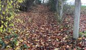 Trail Walking Theux - Tancremont 8 Km  - Photo 3