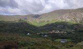 Tour Wandern West Cork - Glengarriff - Ardrigole - Photo 4