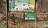 Trail Walking Kelmis - Kelmis/La Calamine 10 Km - Photo 15