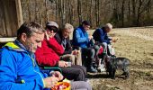 Randonnée Marche Altkirch - Rando Les Copains d'abord.. 04/03/2022 - Photo 3
