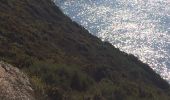 Trail Walking Ajaccio - Ajaccio pointe de parata  - Photo 1