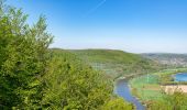 Trail On foot Beverungen - B11 - Über den Rotsberg - Photo 6