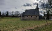 Tour Wandern Libramont-Chevigny - Laneuville 180221 - Photo 3