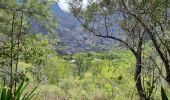 Tour Wandern La Possession - jour 2 la Réunion  - Photo 5