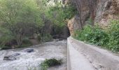 Trail Walking Monachil - monachil - Photo 1