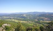 Randonnée Marche Castellet-en-Luberon - Mourre du Grd Lubéron, crêtes et versant Nord  - Photo 1