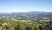 Trail Walking Castellet-en-Luberon - Mourre du Grd Lubéron, crêtes et versant Nord  - Photo 1