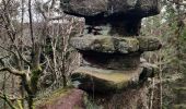 Trail Walking Wangenbourg-Engenthal - 2020-03-14 Marche Engenthal le bas - Photo 3