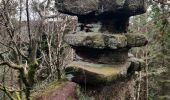 Tour Wandern Wangenburg-Engenthal - 2020-03-14 Marche Engenthal le bas - Photo 3