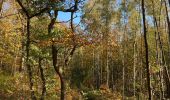 Randonnée Marche Genappe - Bois de Ways Ruart, à l’envers - Photo 6