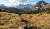 Excursión A pie Val Müstair - Pass dal Fuorn - Jufplaun - Photo 4