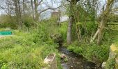 Tour Wandern Quévy - Quevy le petit 15 km  - Photo 3