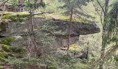 Percorso  Ribeauvillé - Grande verrerie - Rocher des Géants  - Photo 1