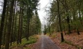 Trail Walking Stoumont - 2021-03-12_16h39m43_LaGleizeP3TourduMontSaintVictor - Photo 5
