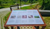 Randonnée Marche Beauraing - Balade dans le Parc du Castel à Beauraing - Photo 5